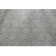 PAVE PANOT HEX ANTRA 25X14X4.5